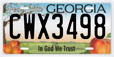 GA license plate CWX3498