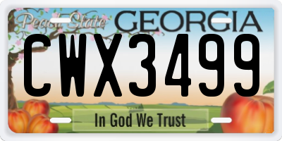 GA license plate CWX3499