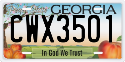GA license plate CWX3501