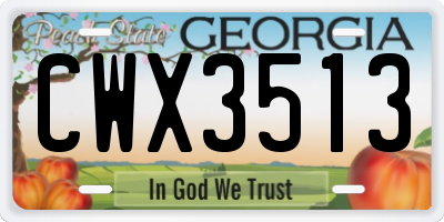 GA license plate CWX3513