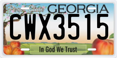 GA license plate CWX3515