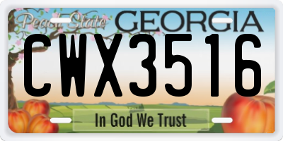GA license plate CWX3516