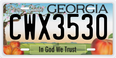 GA license plate CWX3530