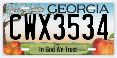 GA license plate CWX3534