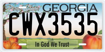 GA license plate CWX3535