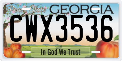GA license plate CWX3536