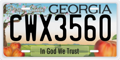 GA license plate CWX3560