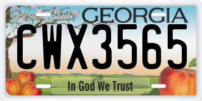 GA license plate CWX3565