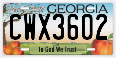 GA license plate CWX3602
