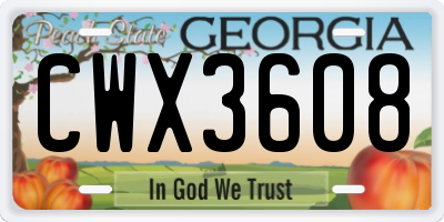 GA license plate CWX3608