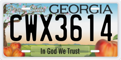 GA license plate CWX3614