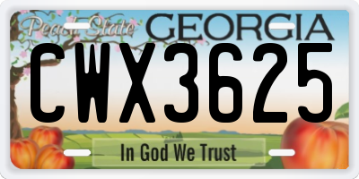 GA license plate CWX3625