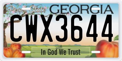 GA license plate CWX3644