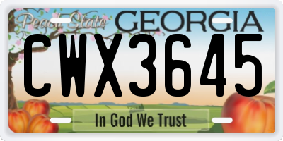 GA license plate CWX3645