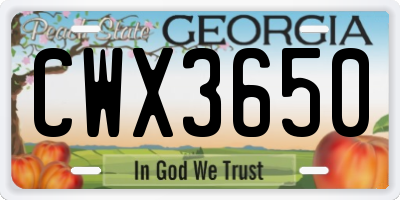 GA license plate CWX3650