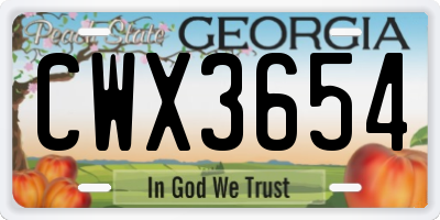 GA license plate CWX3654