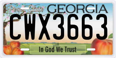 GA license plate CWX3663