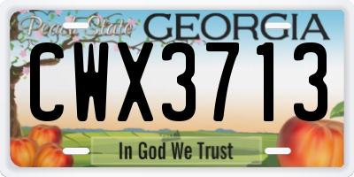 GA license plate CWX3713