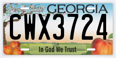 GA license plate CWX3724