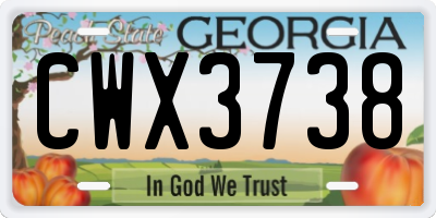 GA license plate CWX3738