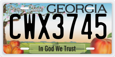 GA license plate CWX3745