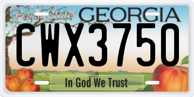 GA license plate CWX3750