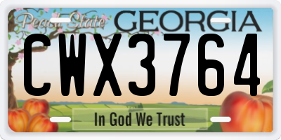 GA license plate CWX3764