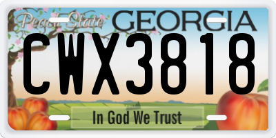 GA license plate CWX3818