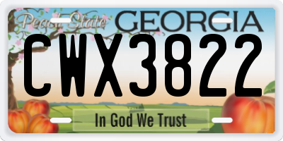 GA license plate CWX3822