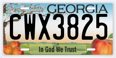 GA license plate CWX3825
