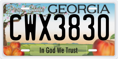 GA license plate CWX3830