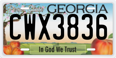 GA license plate CWX3836