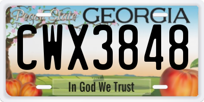 GA license plate CWX3848