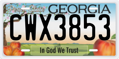 GA license plate CWX3853