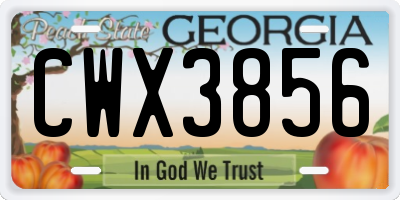 GA license plate CWX3856