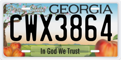 GA license plate CWX3864