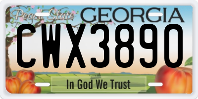 GA license plate CWX3890