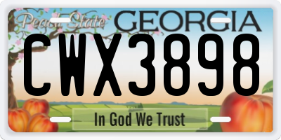GA license plate CWX3898