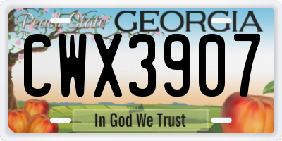 GA license plate CWX3907