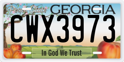 GA license plate CWX3973