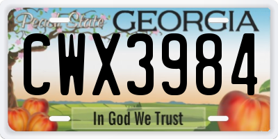 GA license plate CWX3984