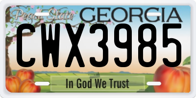 GA license plate CWX3985
