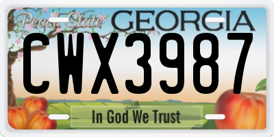 GA license plate CWX3987
