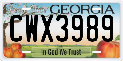 GA license plate CWX3989