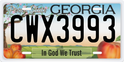 GA license plate CWX3993