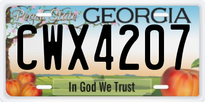 GA license plate CWX4207