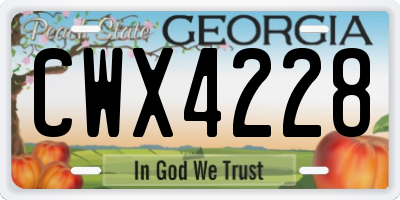 GA license plate CWX4228