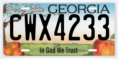 GA license plate CWX4233