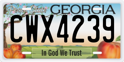 GA license plate CWX4239