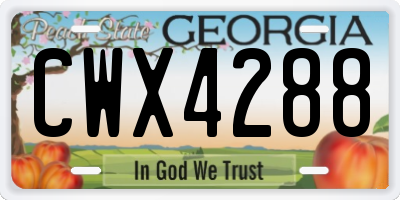 GA license plate CWX4288